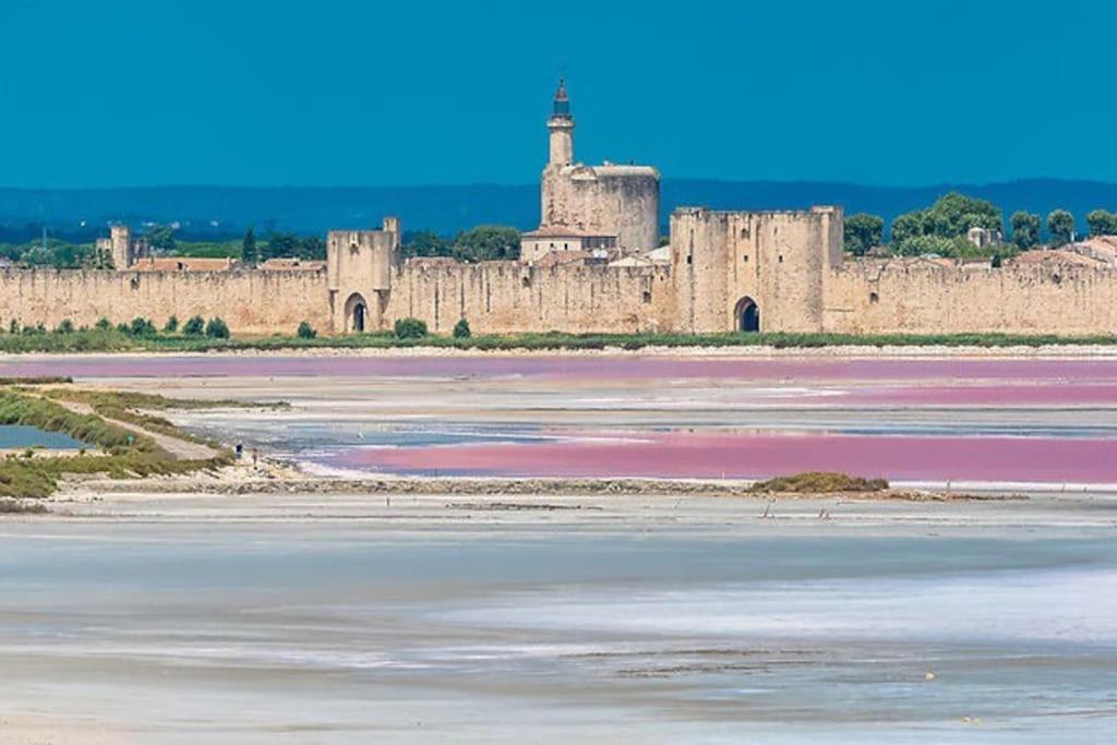 Maison A 800M Des Remparts Aigues-Mortes Dış mekan fotoğraf